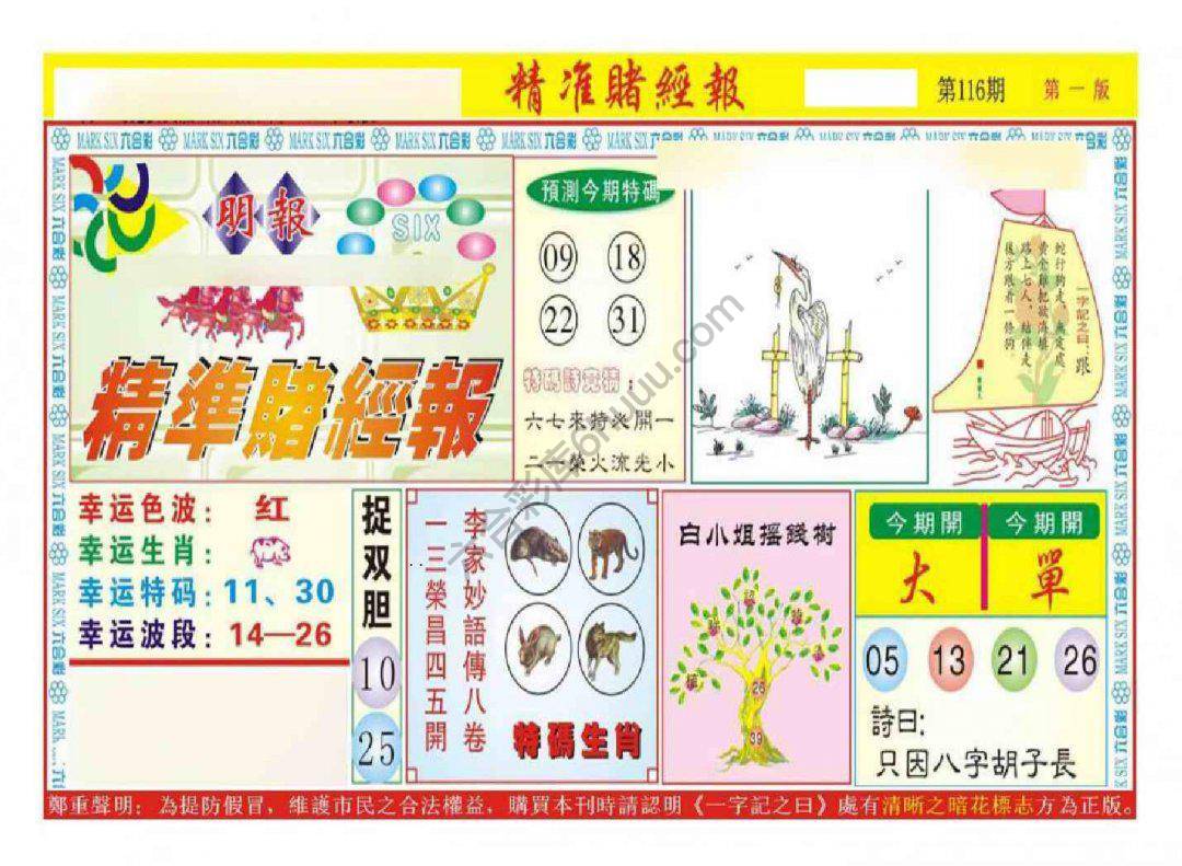 精准赌经报
