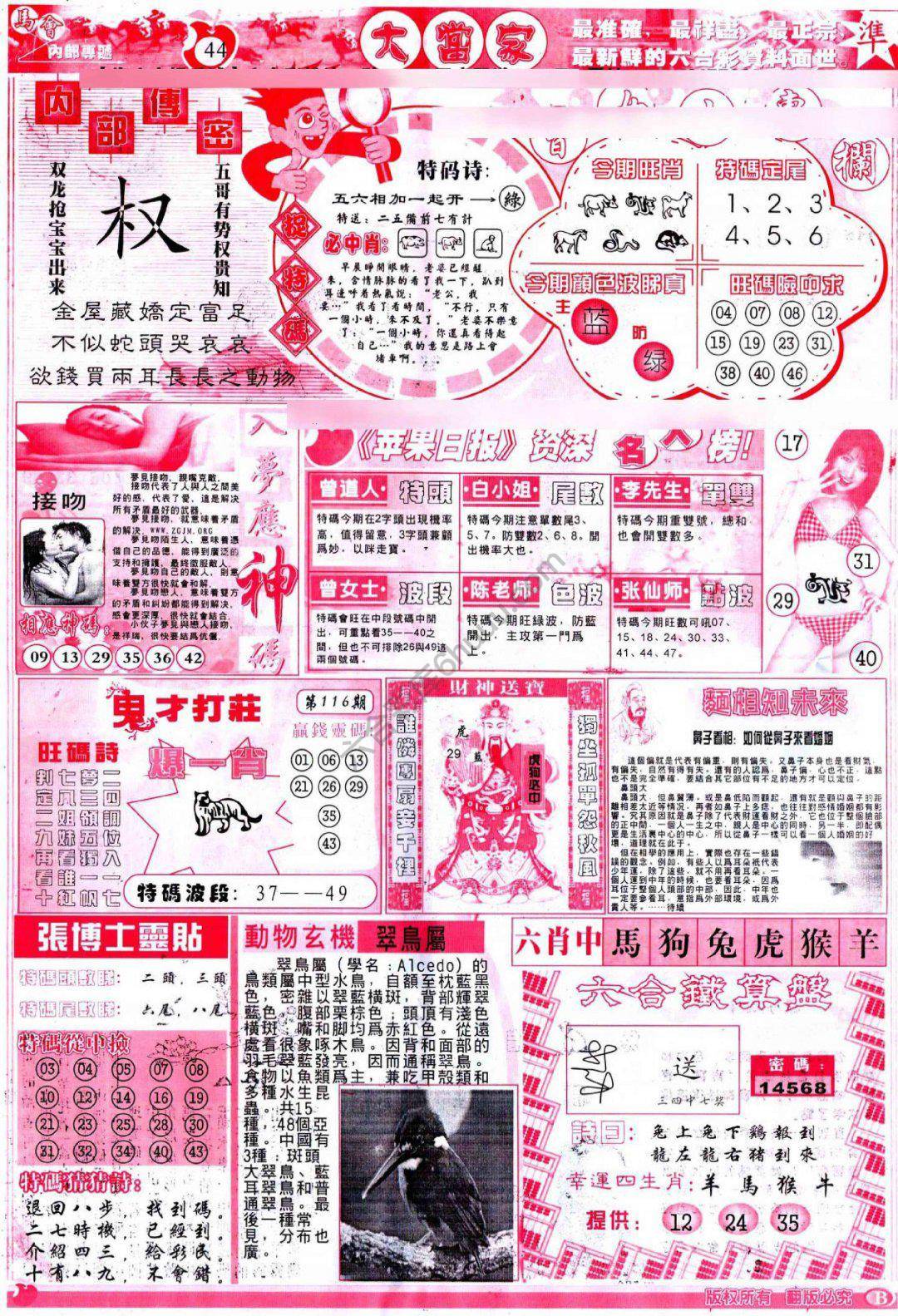 大当家