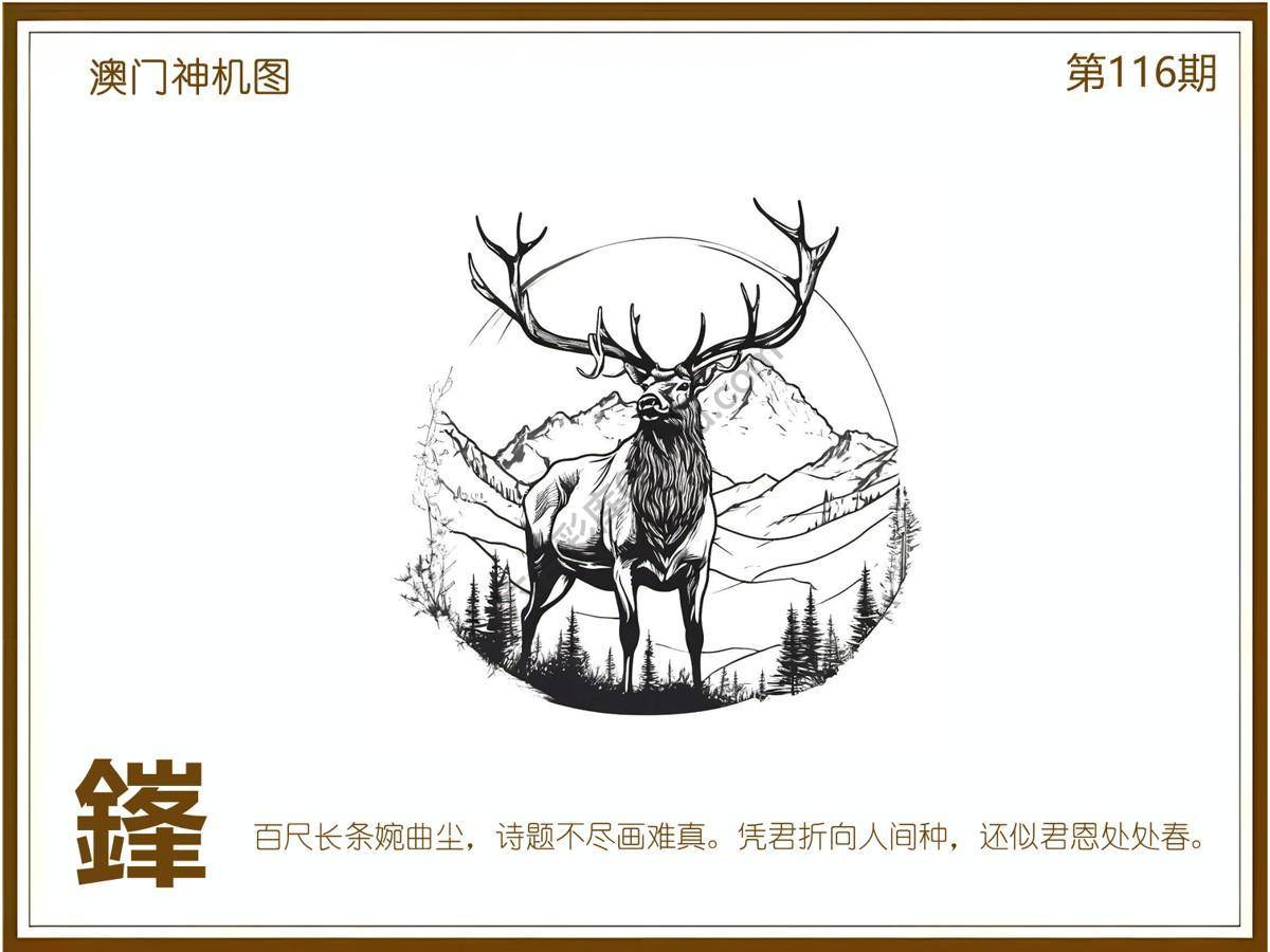 澳门神机图