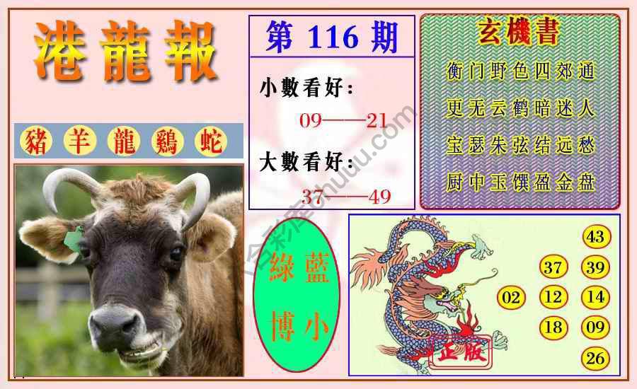 港龙报
