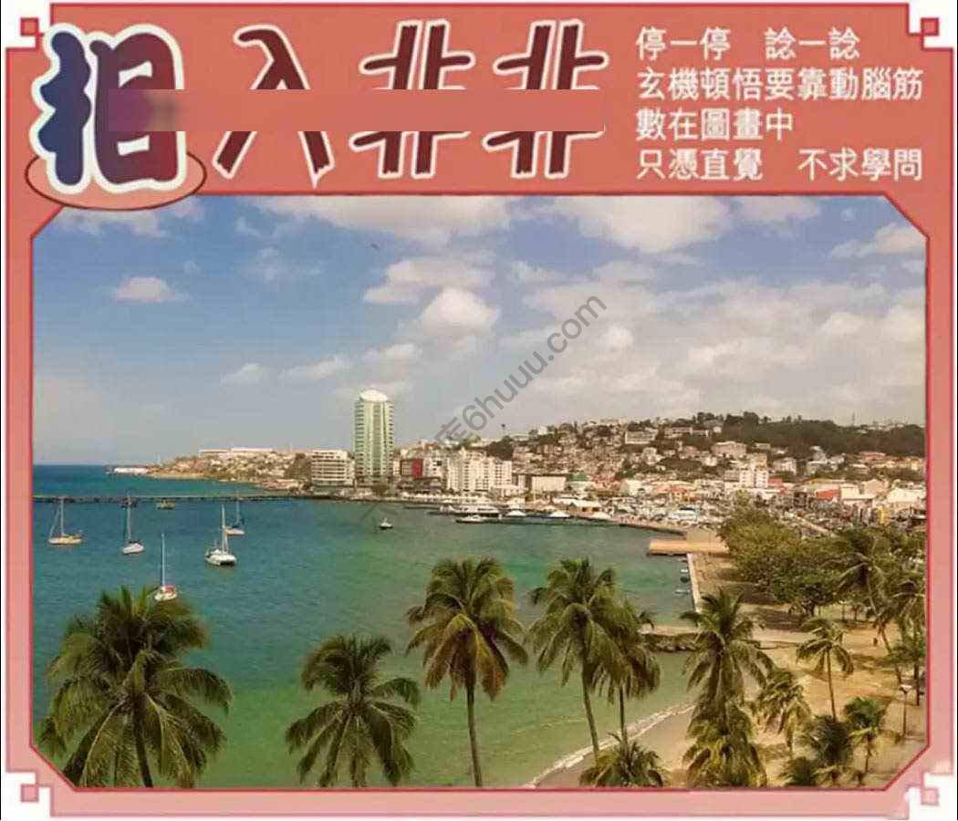 相入非非