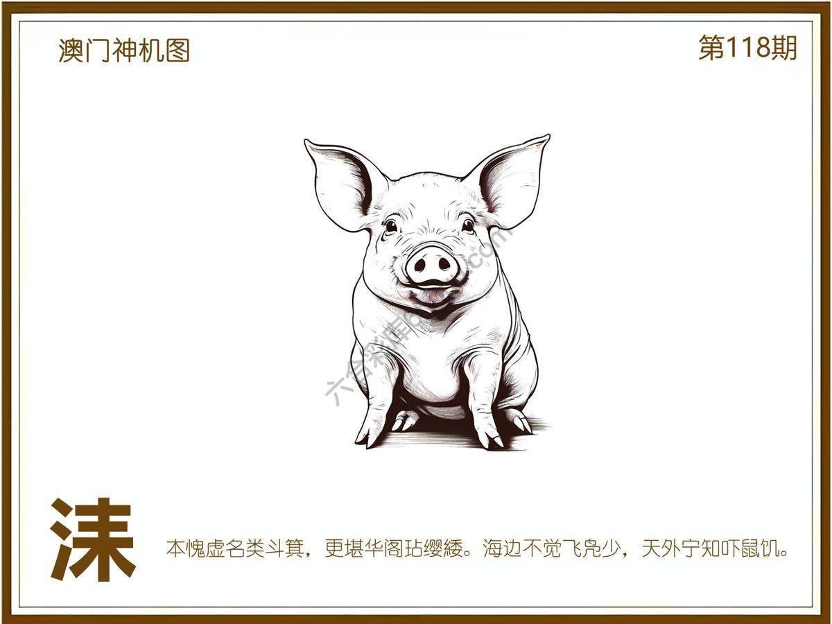 澳门神机图