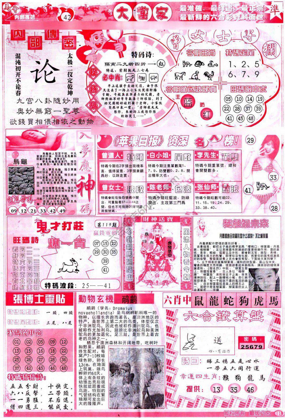 大当家