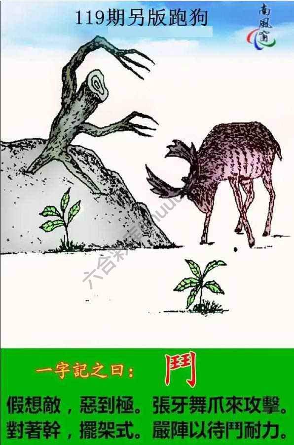 另版跑狗