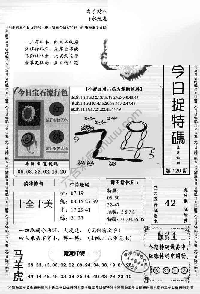 狮王今日抓特码
