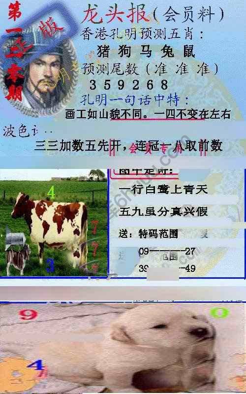 龙头报