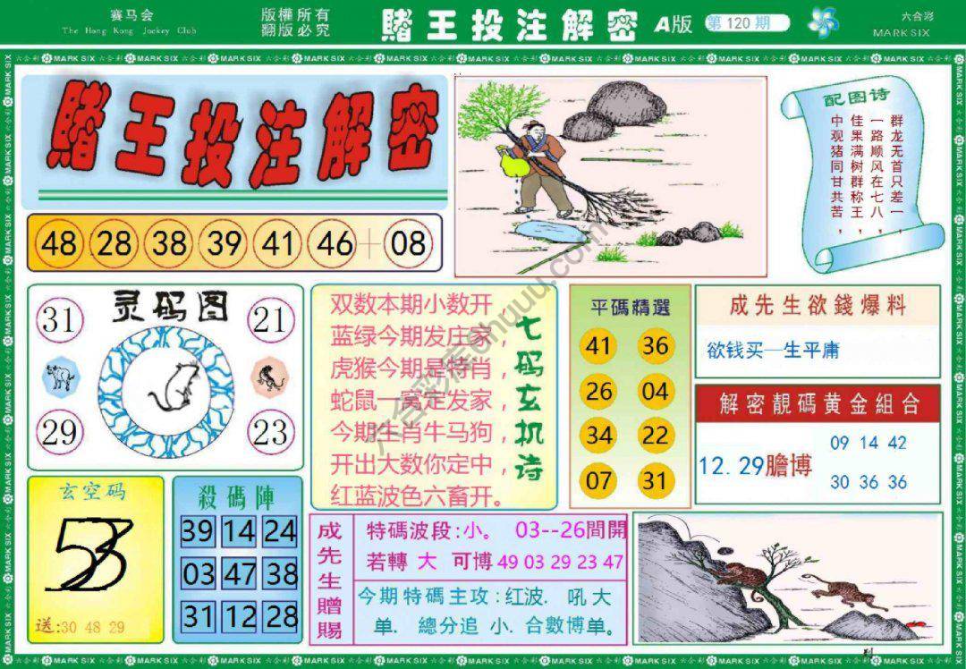 赌王投注解密
