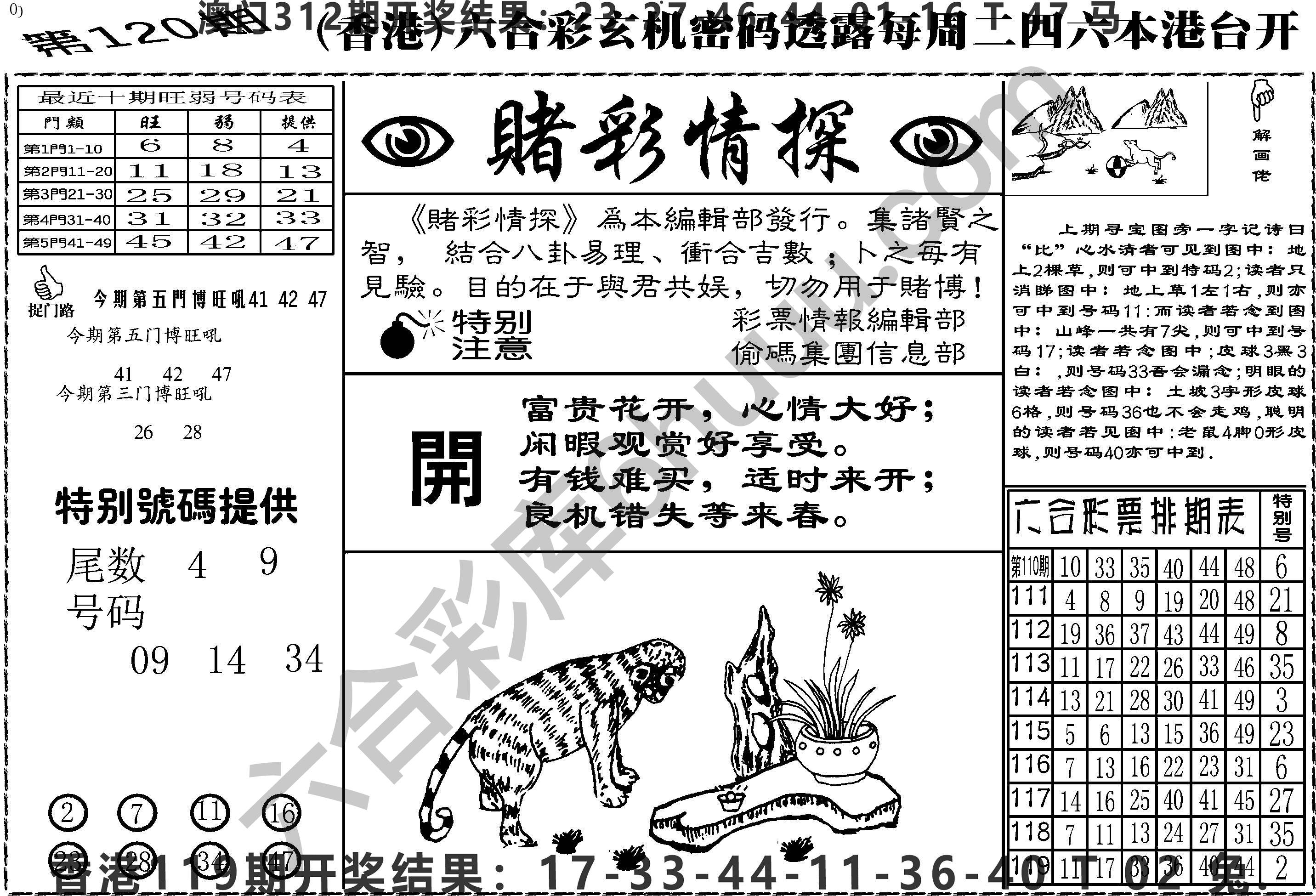赌彩情探