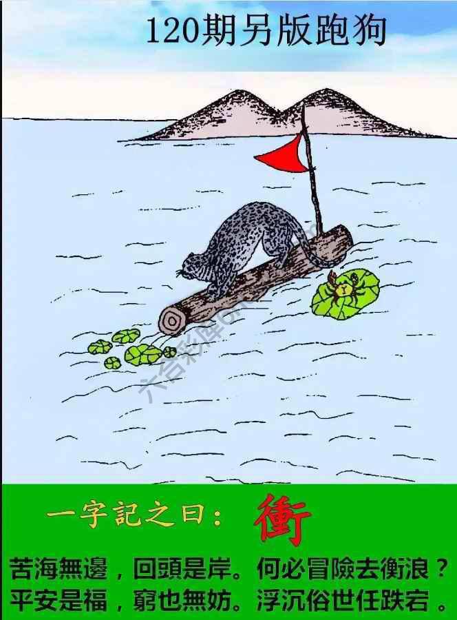 另版跑狗