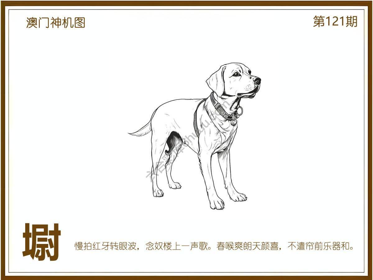 澳门神机图