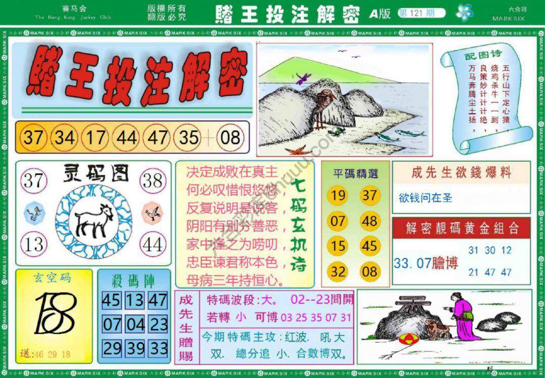 赌王投注解密