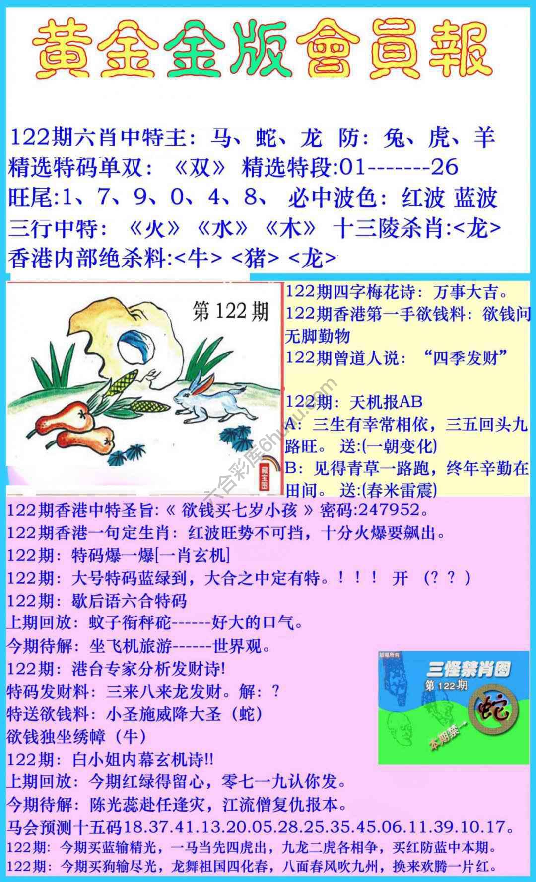 黄金金版会员报