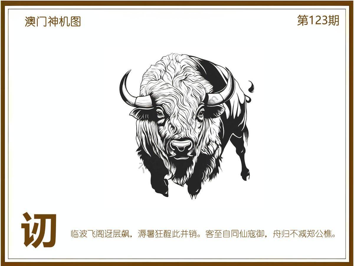 澳门神机图