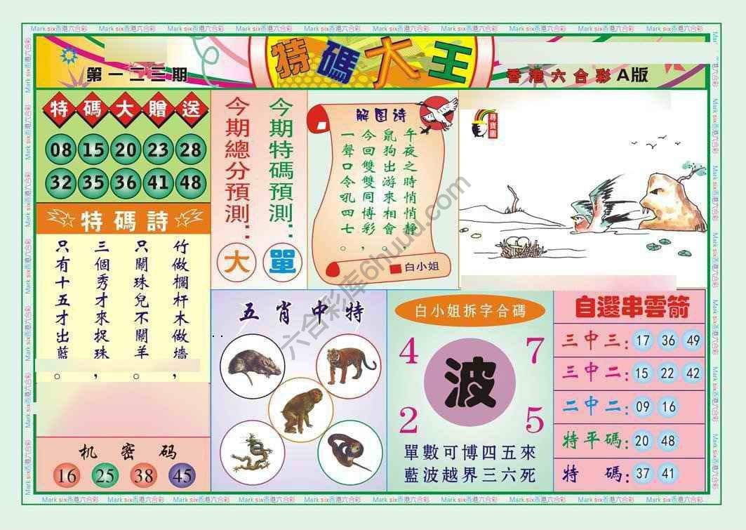 特码大王