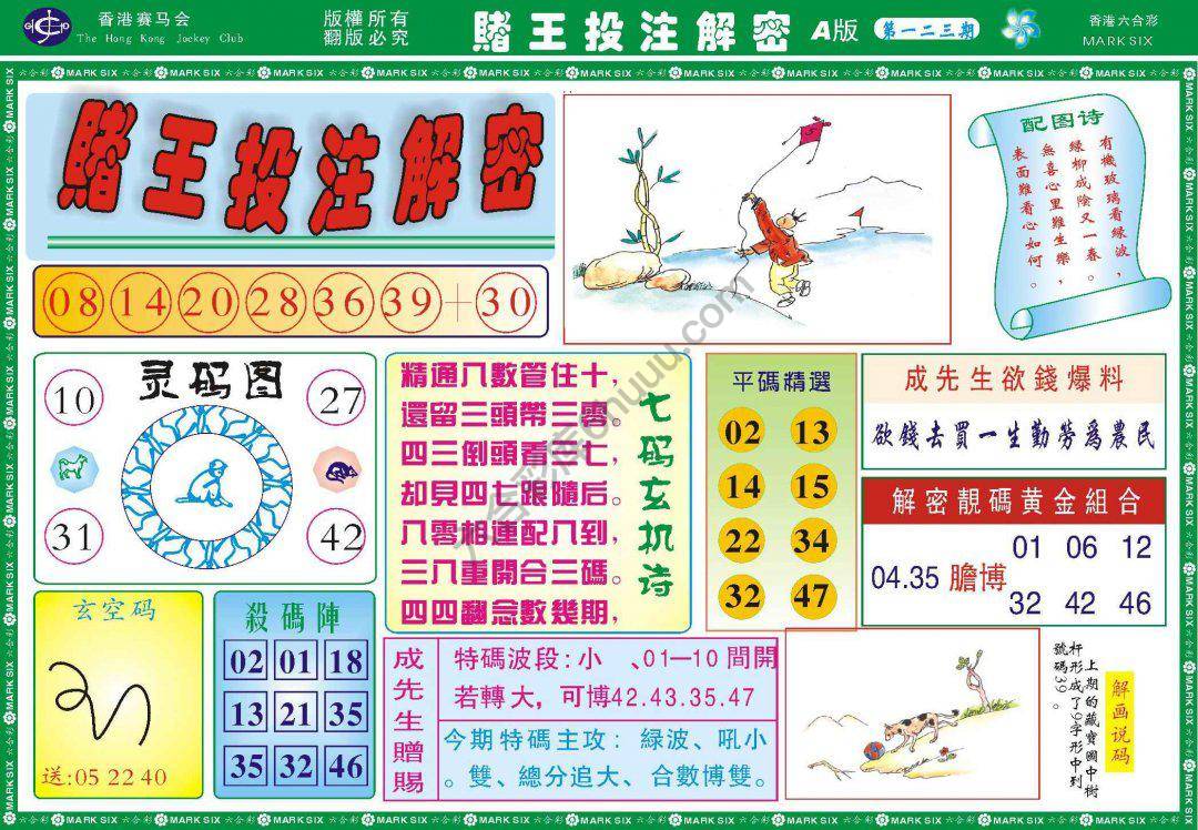 赌王投注解密