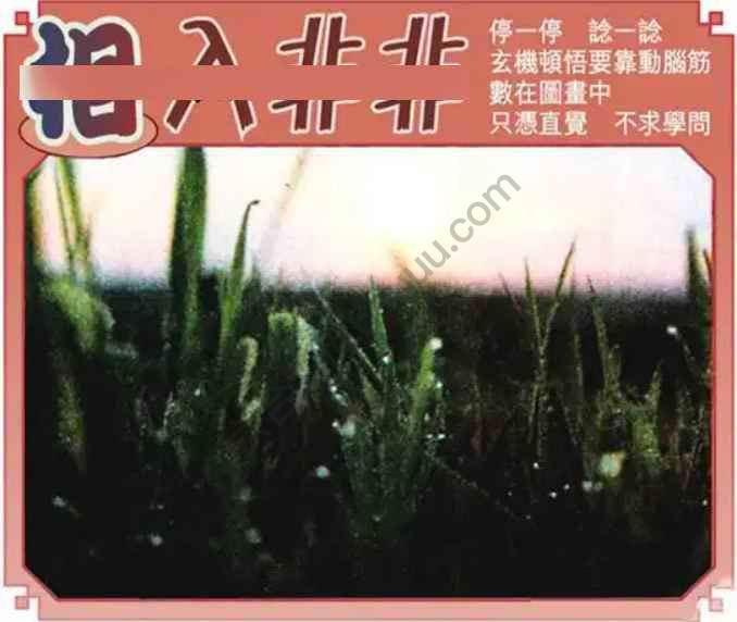 相入非非