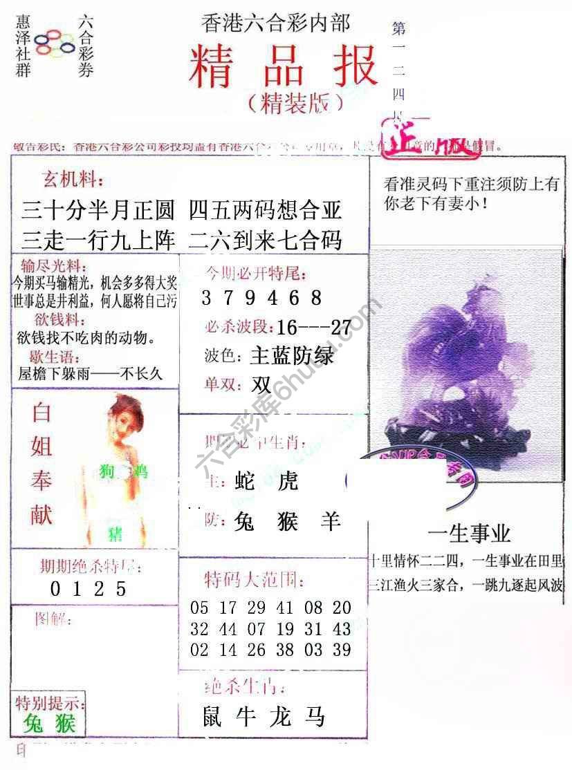 新精品报