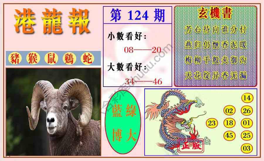 港龙报