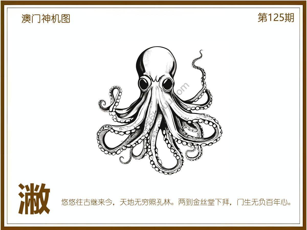 澳门神机图