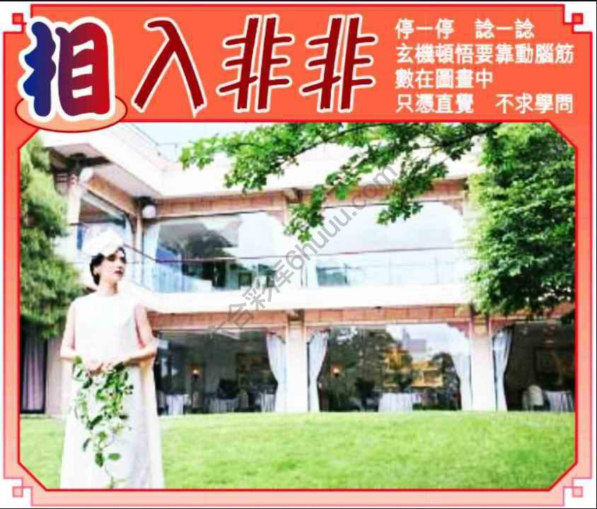 相入非非