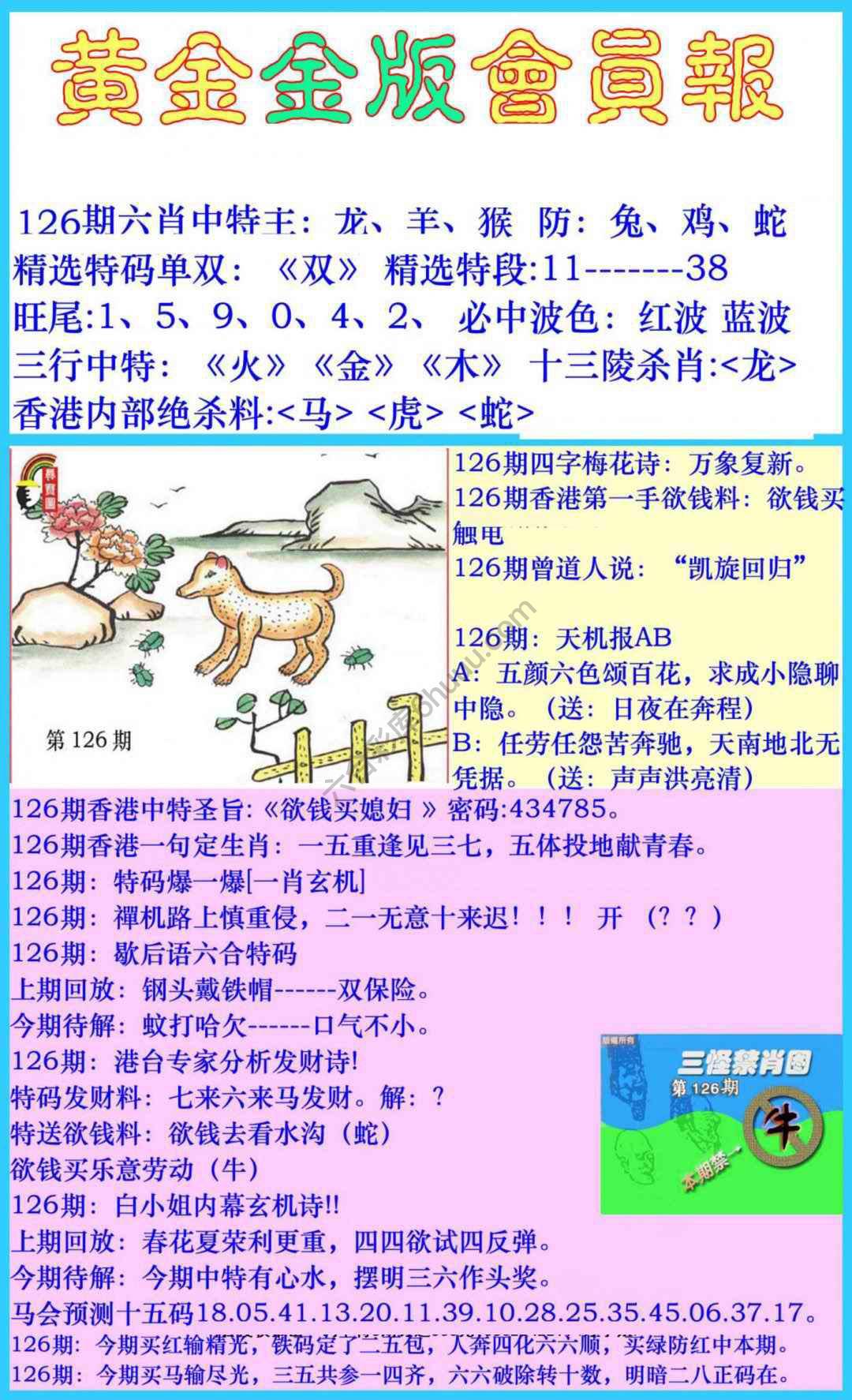 黄金金版会员报