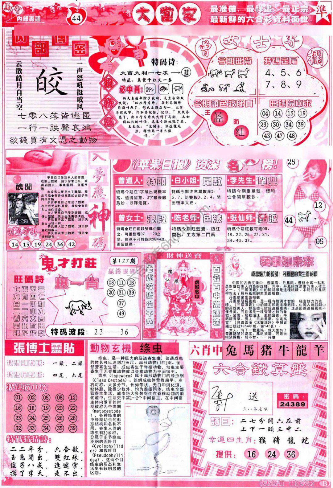 大当家
