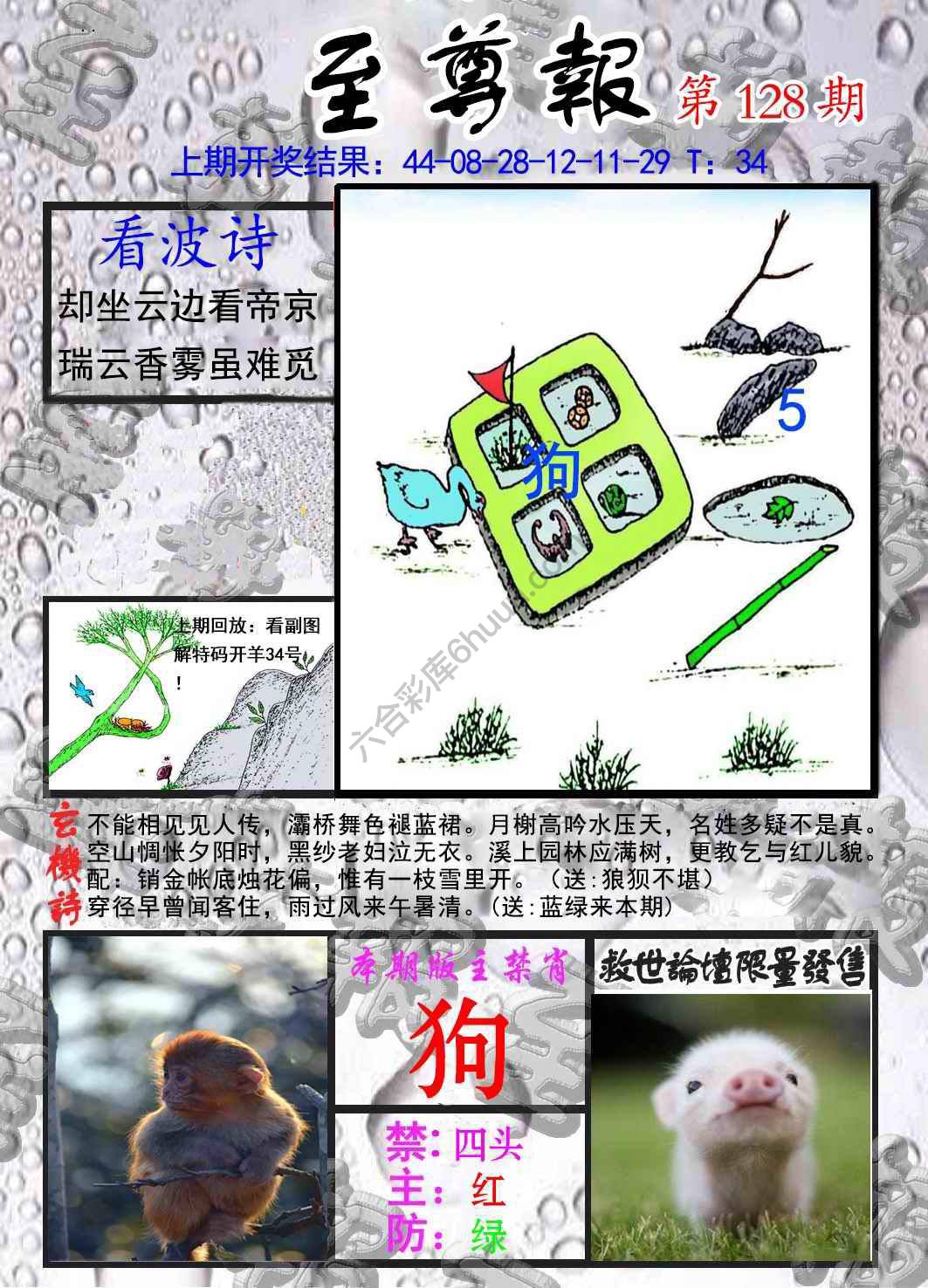 至尊报