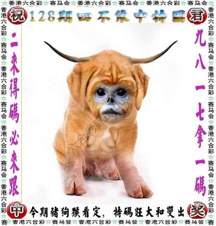 四不像中特图