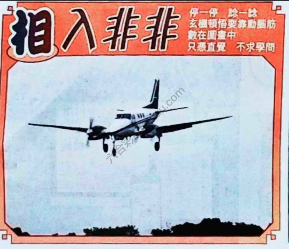 相入非非