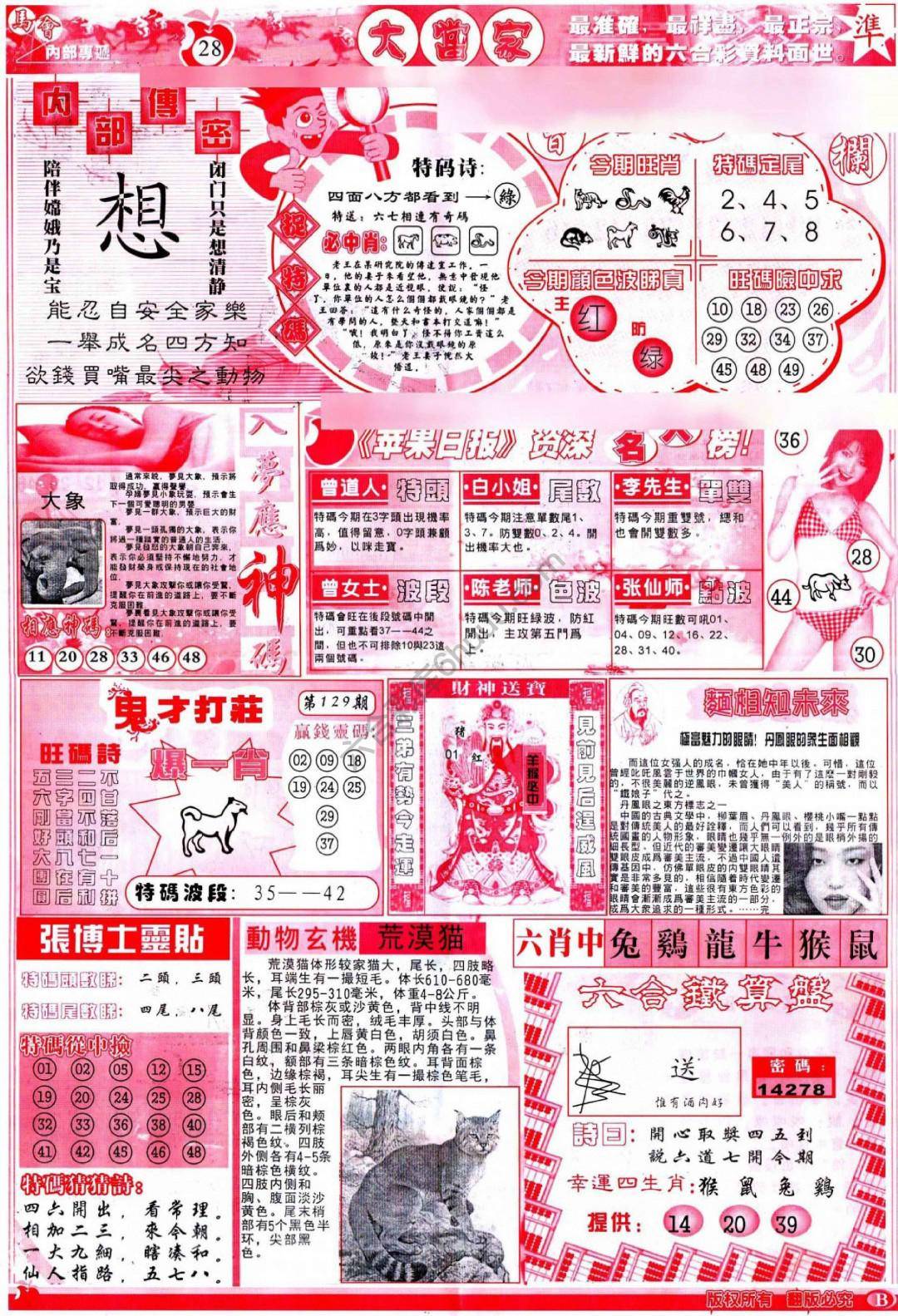 大当家