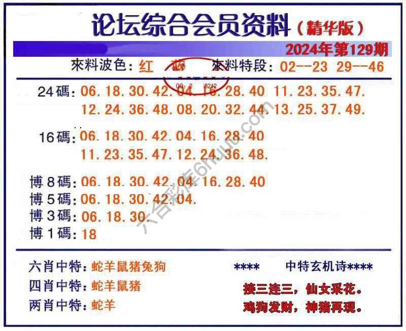 综合会员资料