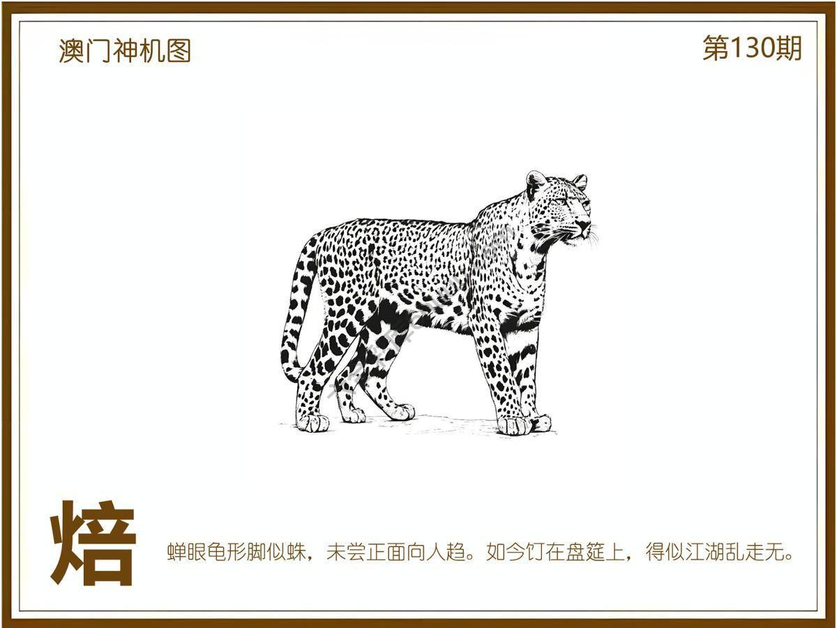 澳门神机图