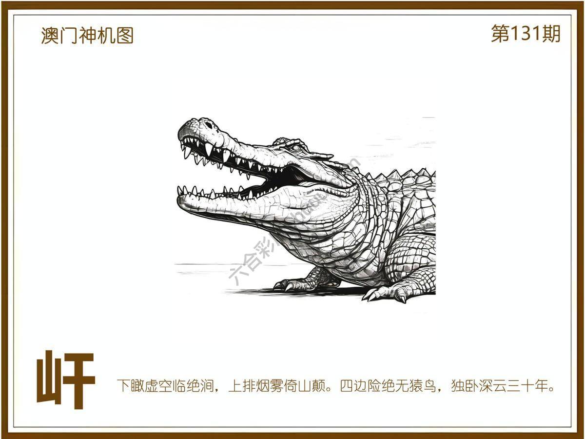 澳门神机图