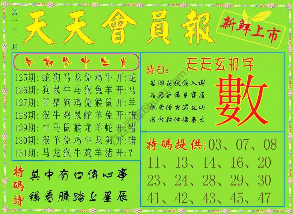 天天会员报