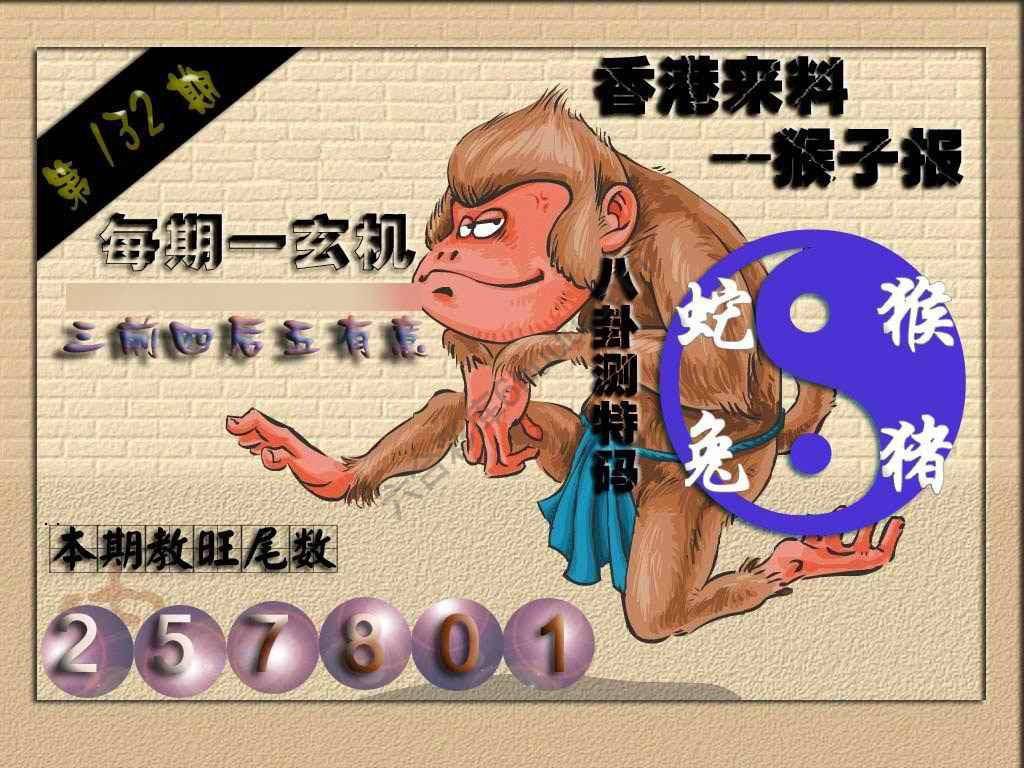 猴子报