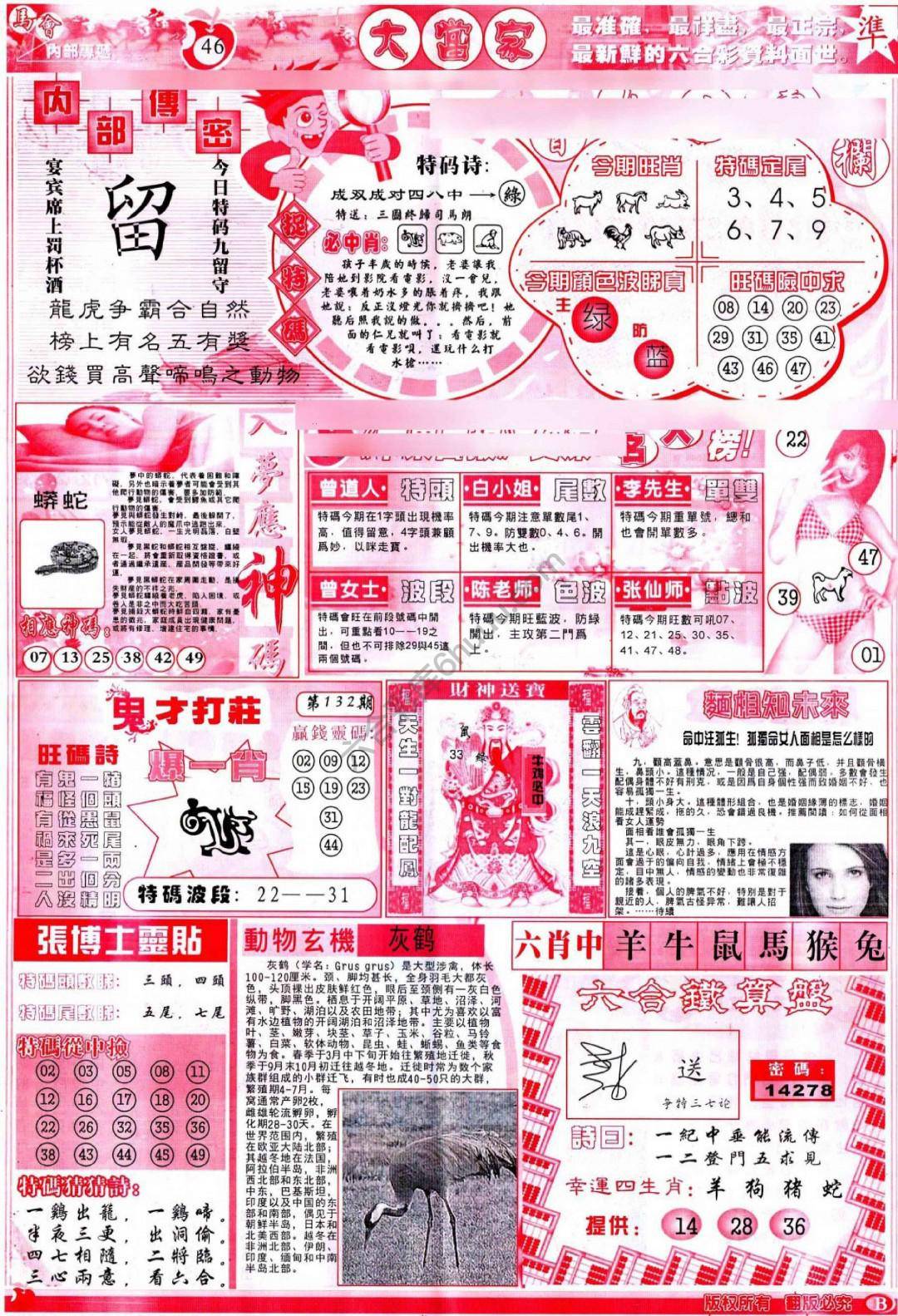 大当家