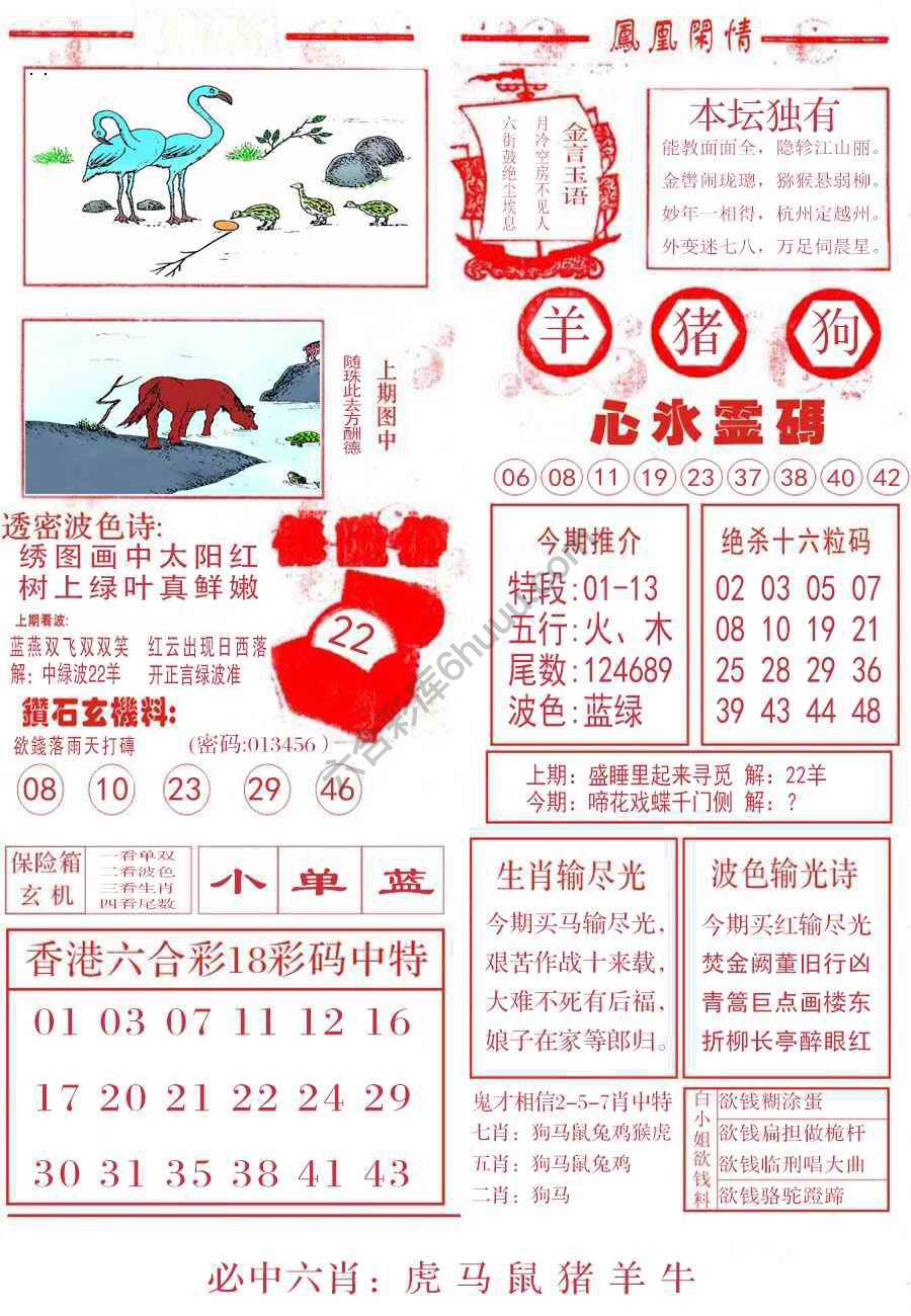 凤凰闲情