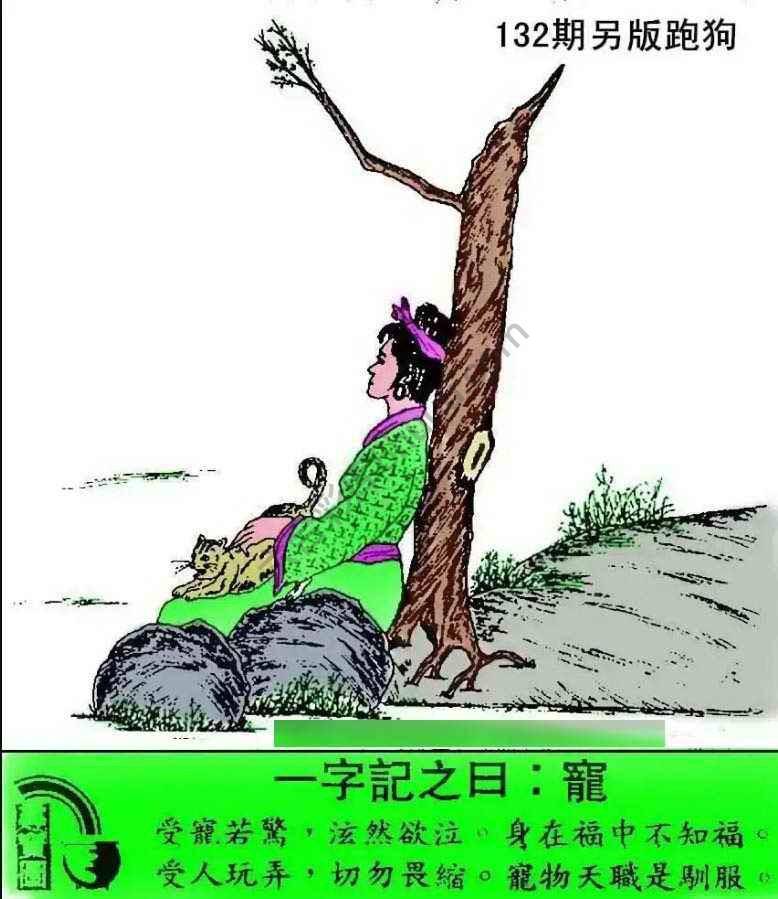 另版跑狗