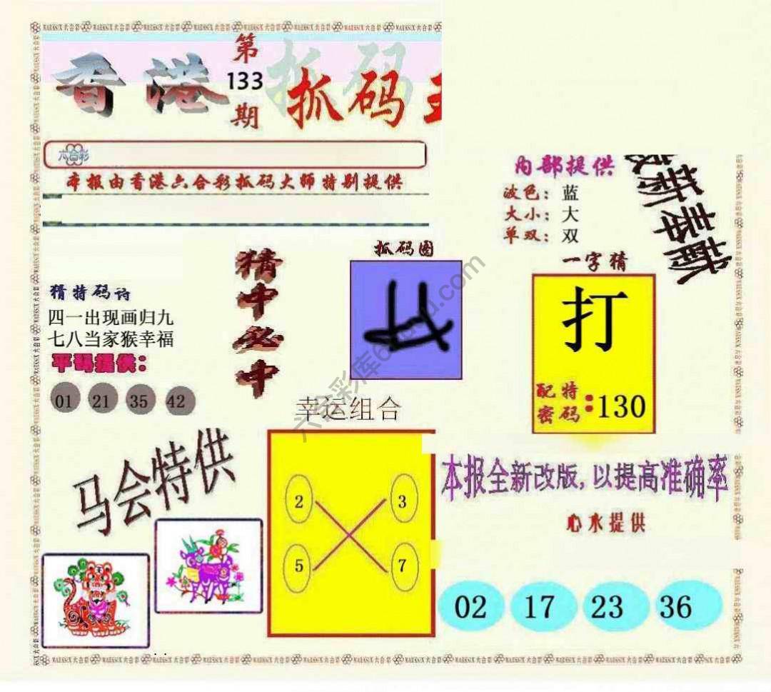 新抓码王