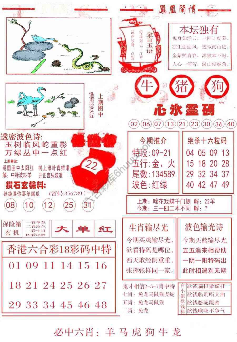 凤凰闲情