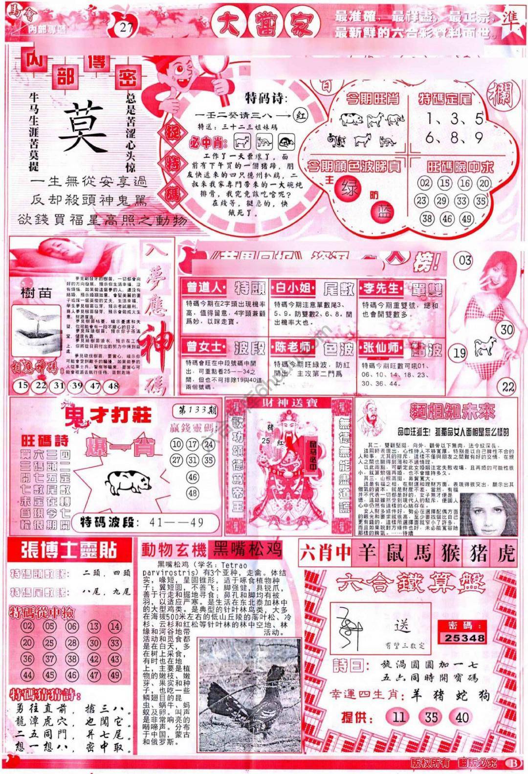大当家