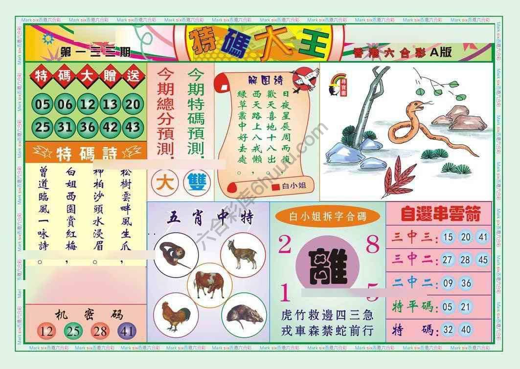 特码大王