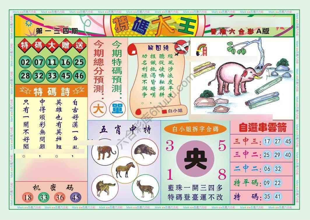 特码大王
