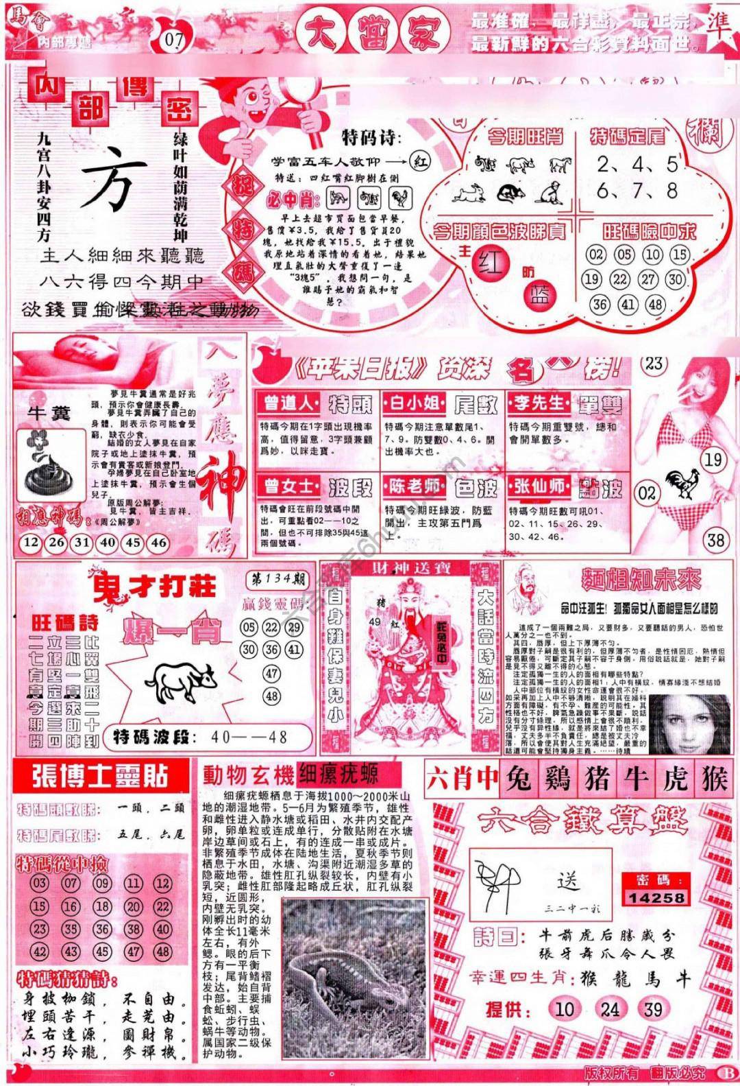 大当家