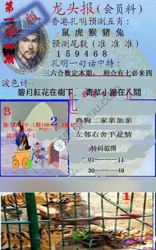 龙头报