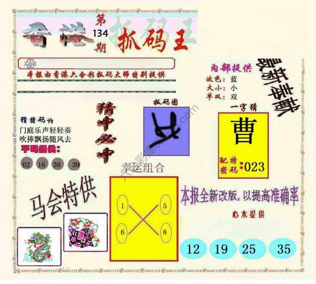 新抓码王