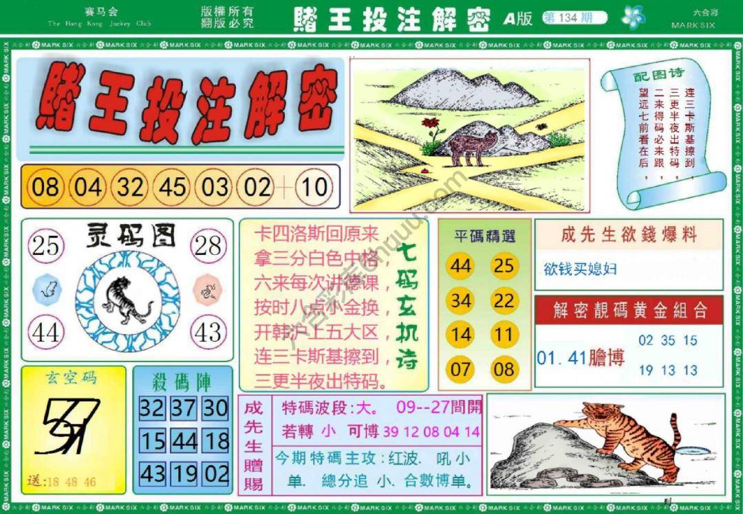 赌王投注解密