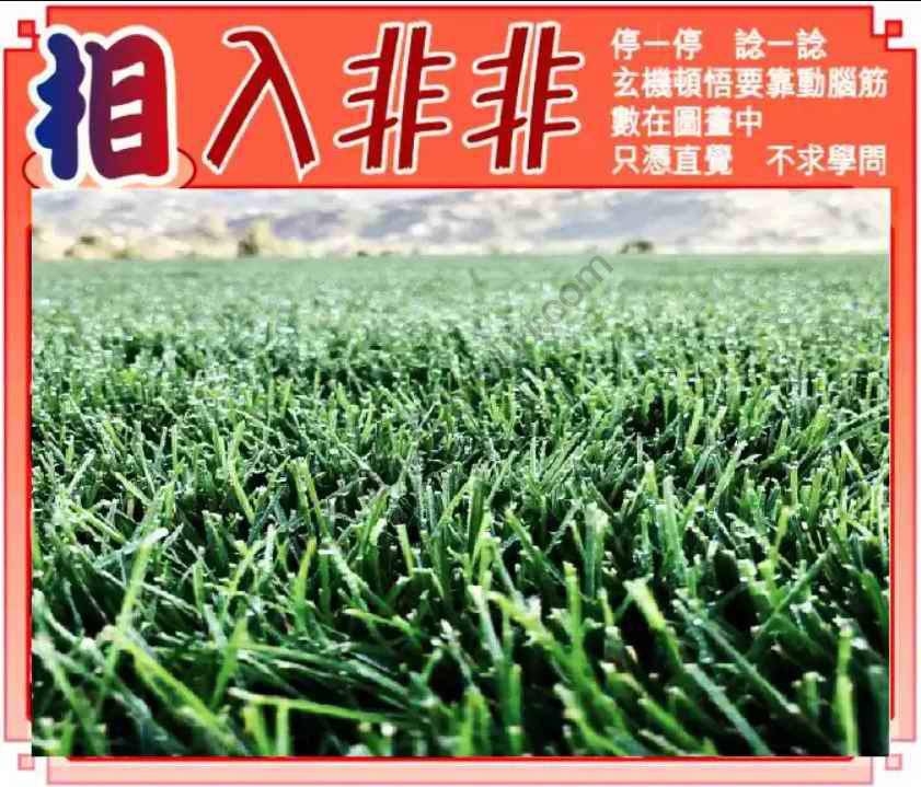 相入非非