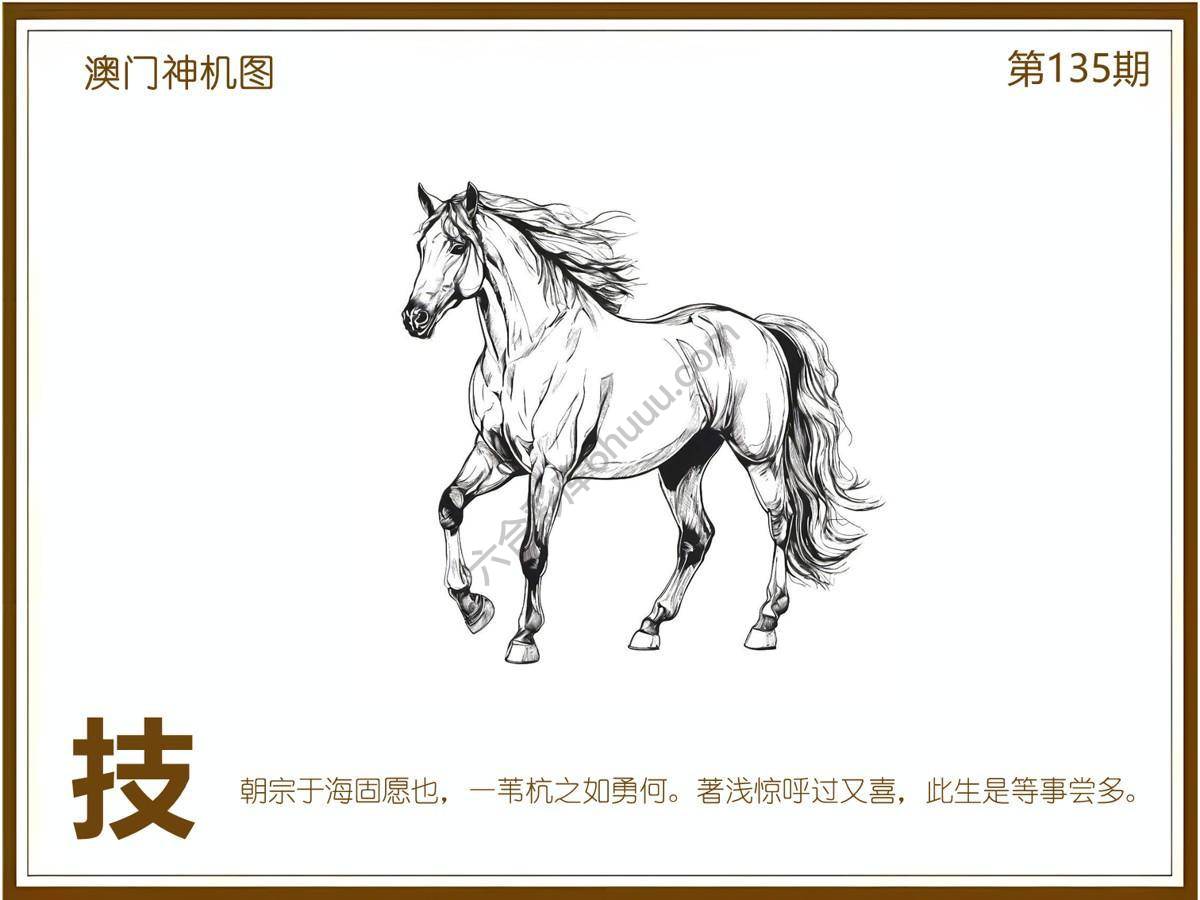 澳门神机图