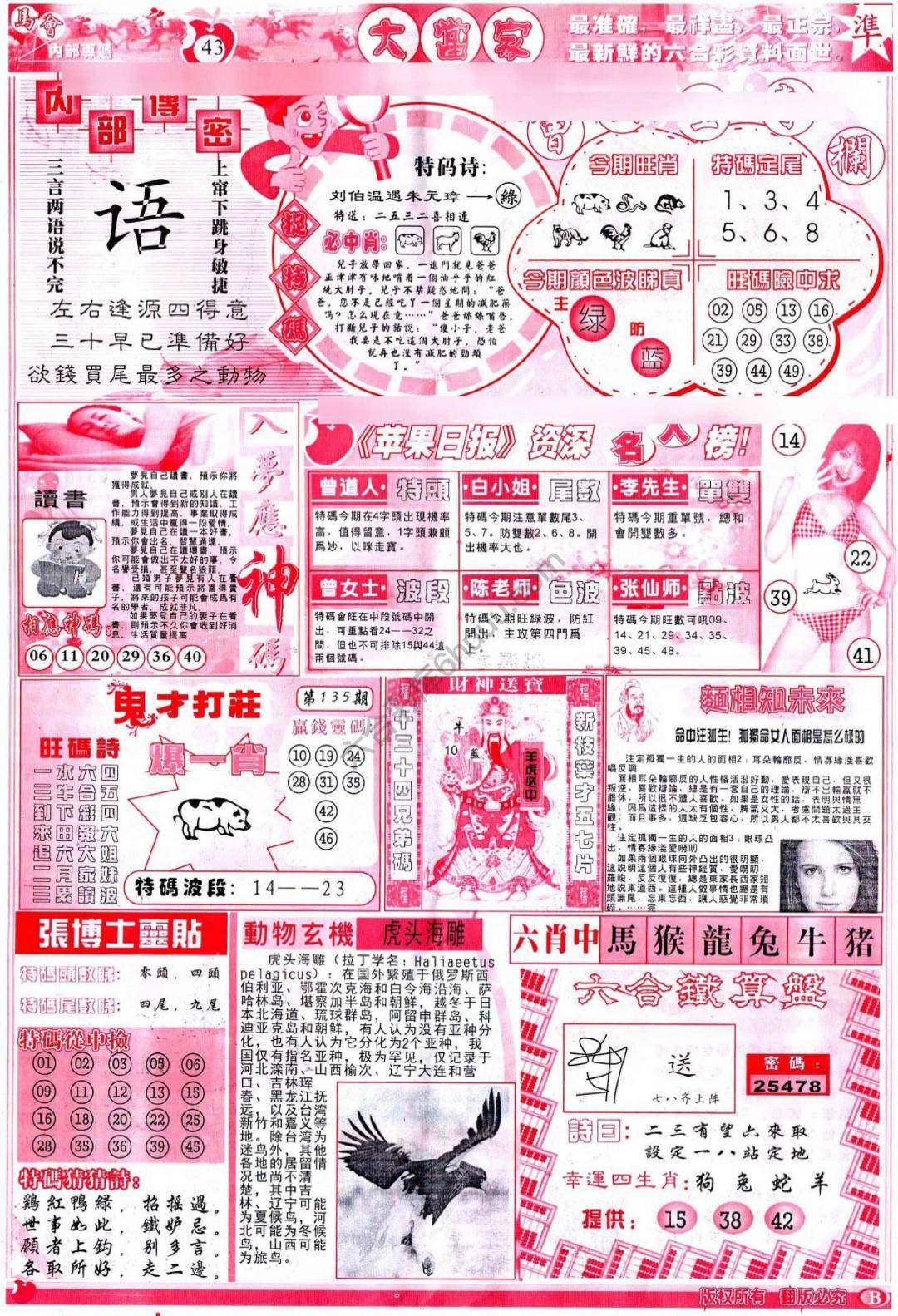 大当家